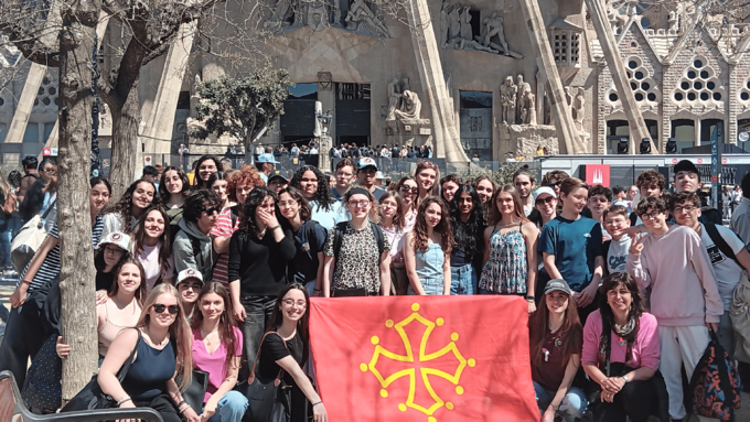 palma(1).png